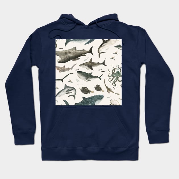 Sharks Hoodie by katherinequinnillustration